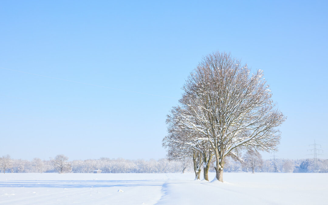 Winterlandschaft im Dezember 2023