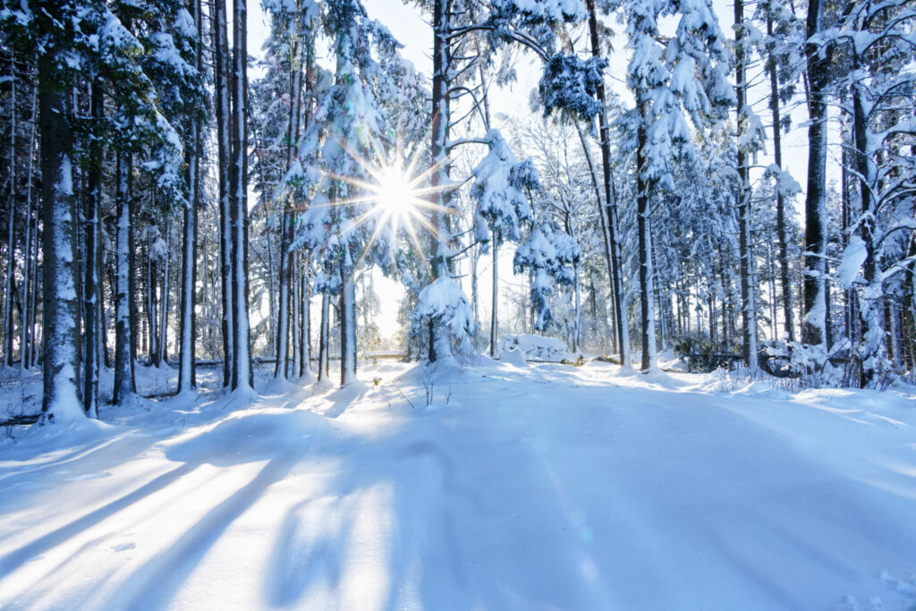 Winter in der Umgebung von Bad Wörishofen